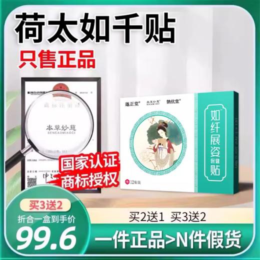 荷太如千贴 和太茹芊贴茹芊展姿贴 如千展姿贴展姿贴荷太如纤展姿 商品图0