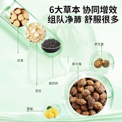 康宁素益倍堂胖大海罗汉果本草植物紫苏籽甘草薄荷康素宁康宁 商品图1