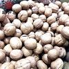 散500g 薄壳大核桃（杭派） 商品缩略图2