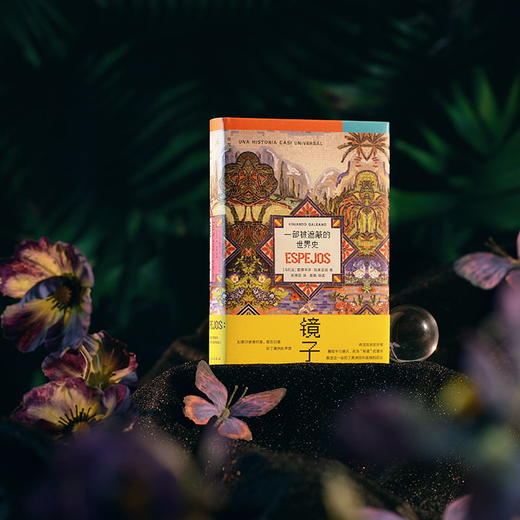 镜子：一部被遮蔽的世界史 商品图14