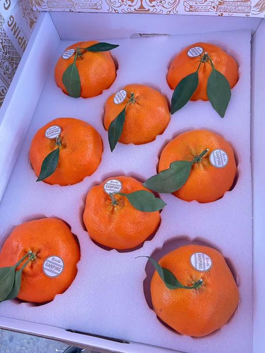 周四取货：【匠心级甘平礼盒】一盒8个左右，果肉丰满，果皮薄，细嫩化渣。 商品图7