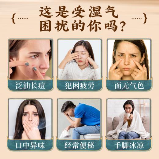 木芝月饮 春光月饮 玉竹月饮 光竹月饮 商品图1