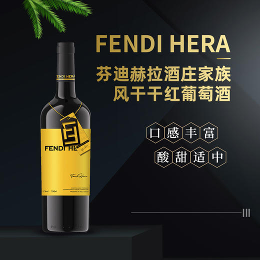【芬迪赫拉酒庄家族风干干红葡萄酒】口感丰富 酸甜适中 商品图3