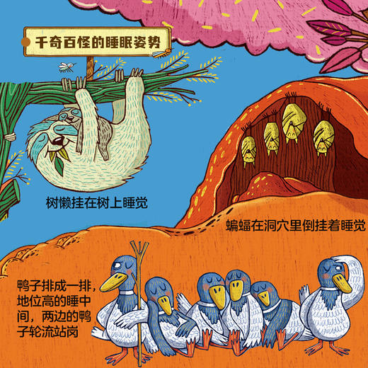 贪睡的脑袋  穿越11个栖息地 揭秘动物的43种睡眠方式 商品图8