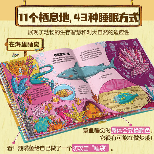 贪睡的脑袋  穿越11个栖息地 揭秘动物的43种睡眠方式 商品图6