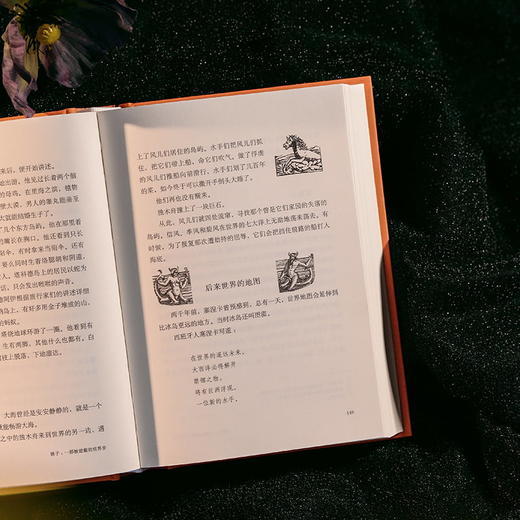 镜子：一部被遮蔽的世界史 商品图13