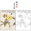 俞致贞花鸟工笔画白描底稿《花蝶图》临摹勾线高清打印稿ZZ50 商品缩略图0