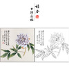 俞致贞花鸟牡丹工笔画白描底稿《国色名花》临摹勾线高清打印稿ZZ41 商品缩略图0