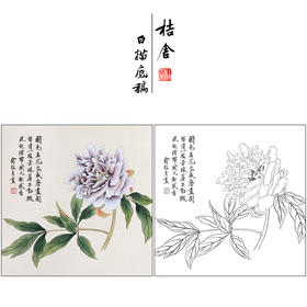 俞致贞花鸟牡丹工笔画白描底稿《国色名花》临摹勾线高清打印稿ZZ41