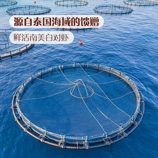 MM 山姆 泰国进口 泰式椰香虾 908g 商品图2