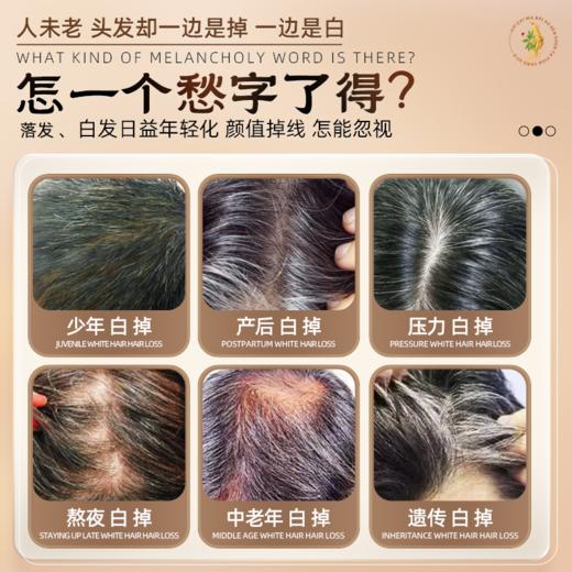 乐茵密素【安圣堂 】 黑芝麻百合黑豆阿胶男女乐因密素蜜素米苏 商品图1