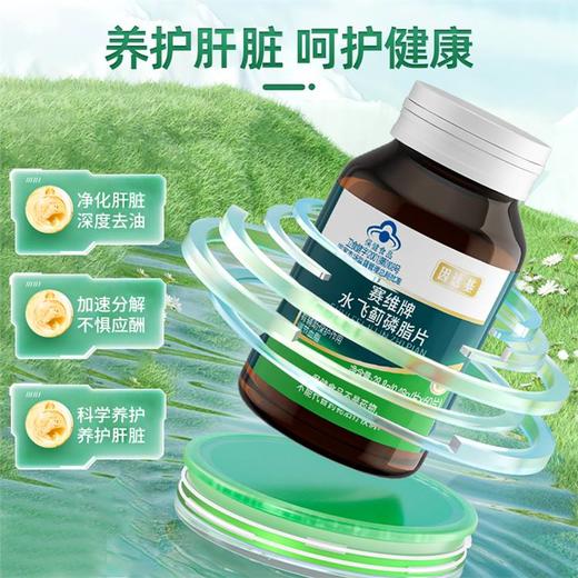 因达基护干肝片负担熬夜肝水飞蓟磷脂片缓解肝脏解酒油腻奶蓟草 商品图1