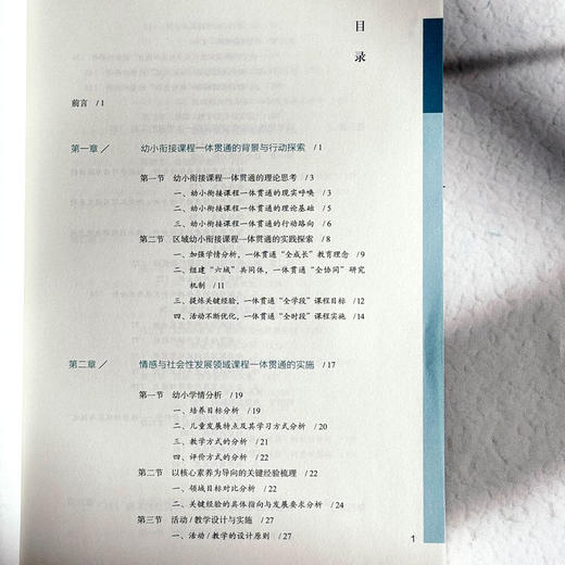 幼小衔接课程一体贯通的区域实践 迈向高质量的幼小衔接丛书  商品图6
