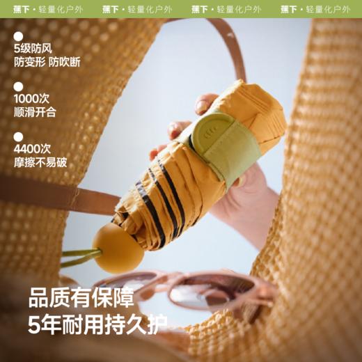 【云粉节】【2件8.5折】6楼蕉下五折黑胶胶囊防晒伞BM52525吊牌价179 商品图3