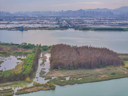 1月21日中山 “鹭鸟的天堂”1天航拍<精品小团> 商品图0