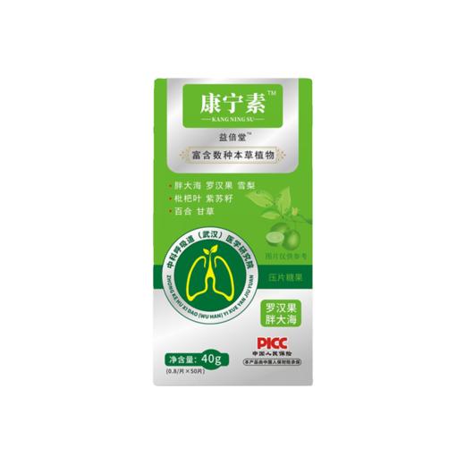 康宁素益倍堂胖大海罗汉果本草植物紫苏籽甘草薄荷康素宁康宁 商品图4