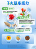 甘代胶囊仰泰泉美百澳栀子软五决味子护乐轻肝益莱净清养健片龙牙 商品缩略图3