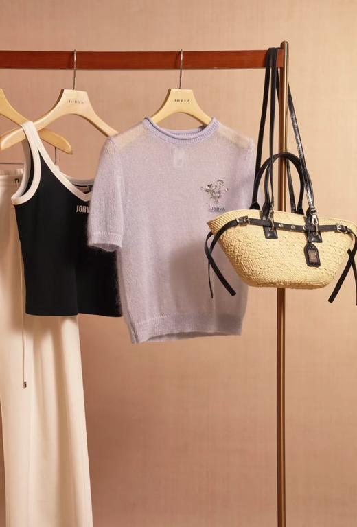 JR2025春新款针织衫R105202B 商品图1