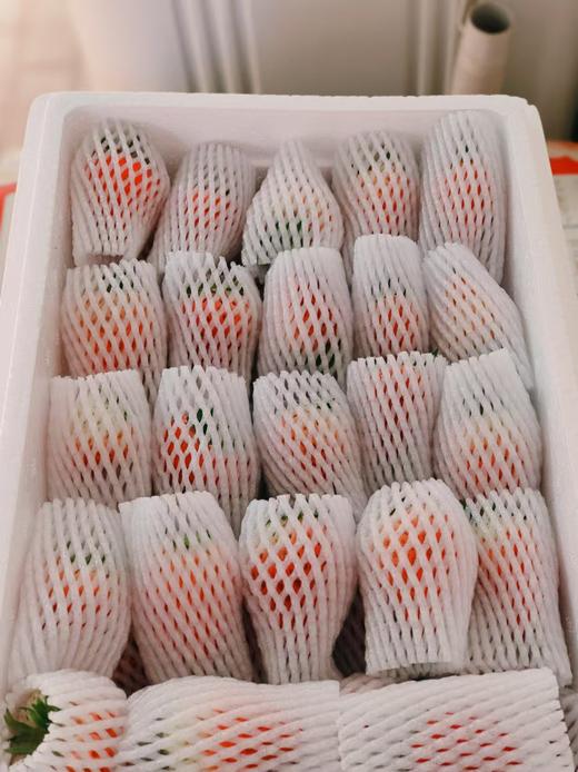 【限时福利59.99元/箱】【鸿翠园有机草莓】 商品图9