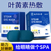 同仁堂蒸汽眼罩睡眠加热发热改善视物模糊疲劳叶黄素蒸汽眼罩 商品缩略图0