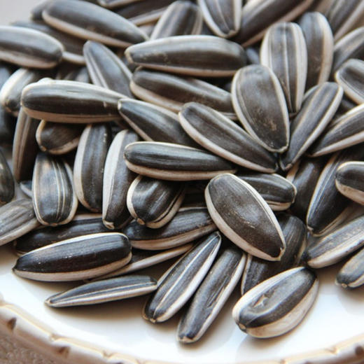 半饱斋原味瓜子6袋装 只用新瓜子 原味 皮薄仁大特别酥 商品图1