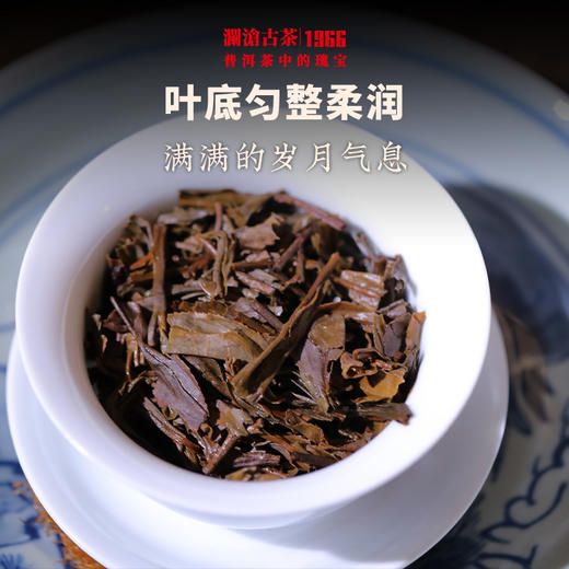 澜沧古茶2006年006大饼普洱茶生茶景迈古树干仓老茶357g 商品图3