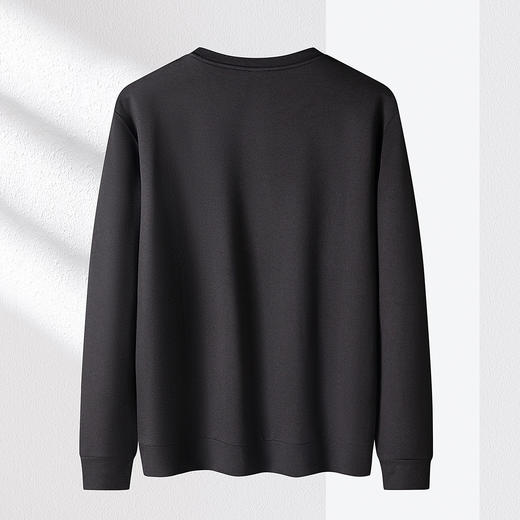 罗蒙春秋男士长袖卫衣百搭商务男士卫衣通勤休闲舒适男卫衣长袖上衣男 商品图1