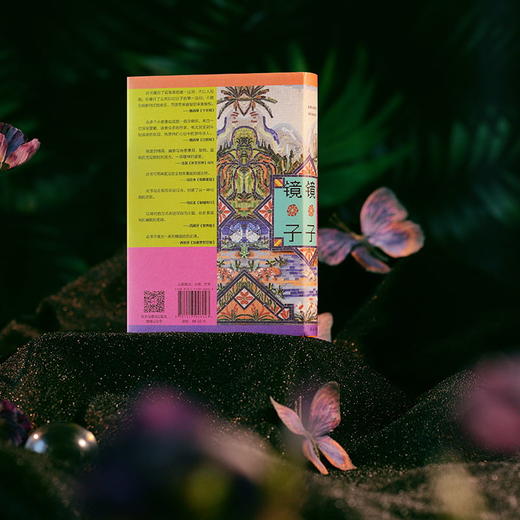 镜子：一部被遮蔽的世界史 商品图5