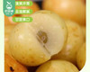 漳浦特产新兰江油甘-甜味（550g/罐）生产日期: 3月6日 商品缩略图2