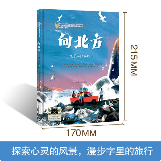 向北方 商品图1