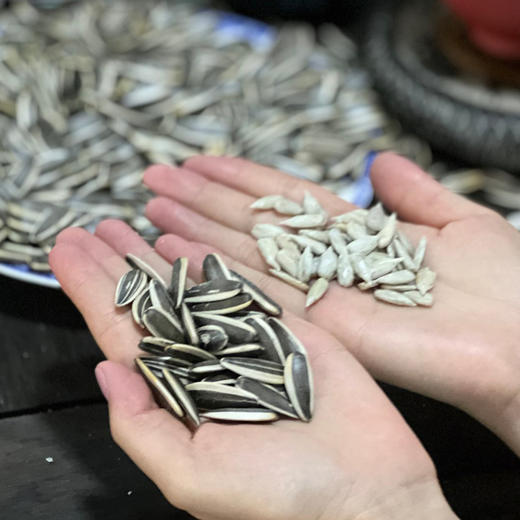 半饱斋原味瓜子6袋装 只用新瓜子 原味 皮薄仁大特别酥 商品图2