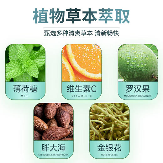 西夫康巴易平酸官方正品旗舰店金银花 胖大海 罗汉果 商品图3