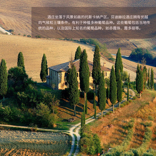 【芬迪赫拉酒庄家族风干干红葡萄酒】口感丰富 酸甜适中 商品图4