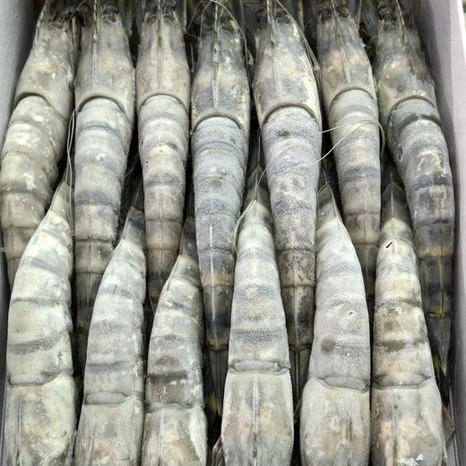 原装进口·生冻黑虎虾（约12-15只每斤）肉质紧致丰腴 Q弹饱满 0脂肪高蛋白 商品图12