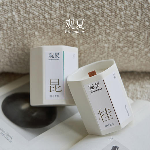 （分2个包裹发货）观夏(TOSUMMER)精油木芯香薰蜡烛香氛蜡烛礼盒套装科+大讯飞会议狗Kit 2【HSCJ10.0】 商品图1