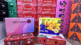 澳洲油桃+金煌芒礼盒+山竹一箱+火龙果礼盒套餐