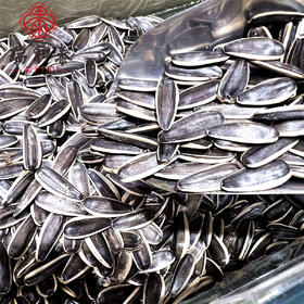 散500g 纤手牌原味香瓜子 零食茶点 ±5g