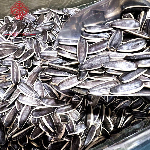 散500g 纤手牌原味香瓜子 零食茶点 ±5g 商品图0