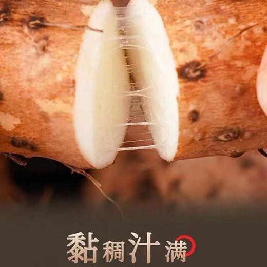 焦作铁棍山药55cm~60cm  5斤装 垆土山药~假1赔10 商品图5