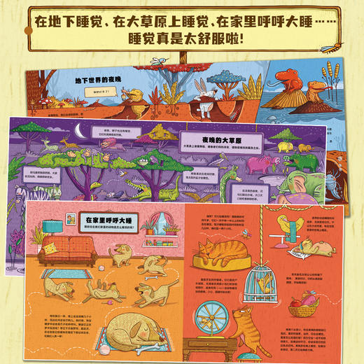 贪睡的脑袋  穿越11个栖息地 揭秘动物的43种睡眠方式 商品图7