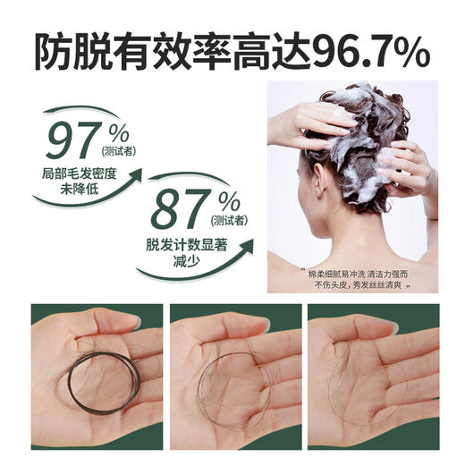 XNSN洗发水 官方正品旗舰店纯植物 xnsn洗发水旗舰店 XNSN育发液 商品图3