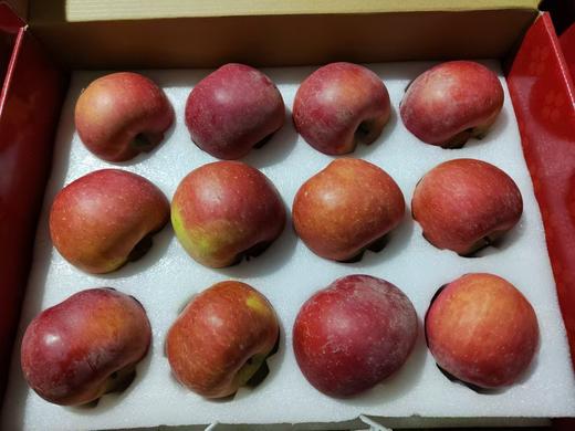 【严选】新粮 阿克苏苹果优选特级果 12粒装礼盒（净果4kg） 商品图1
