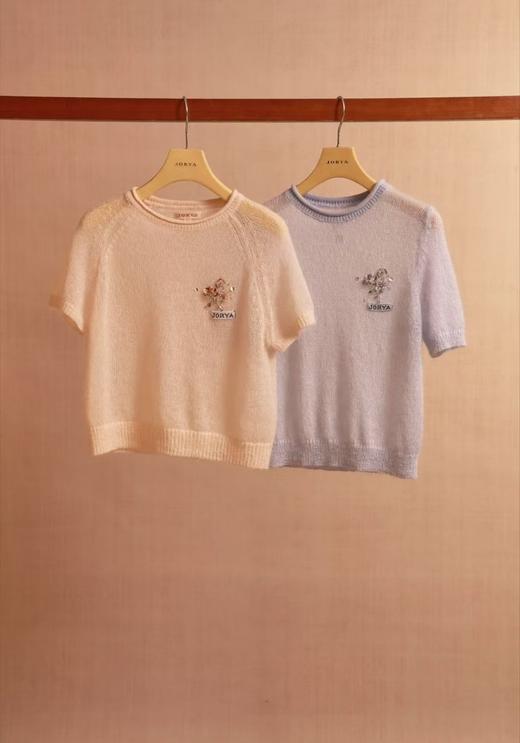 JR2025春新款针织衫R105202B 商品图2