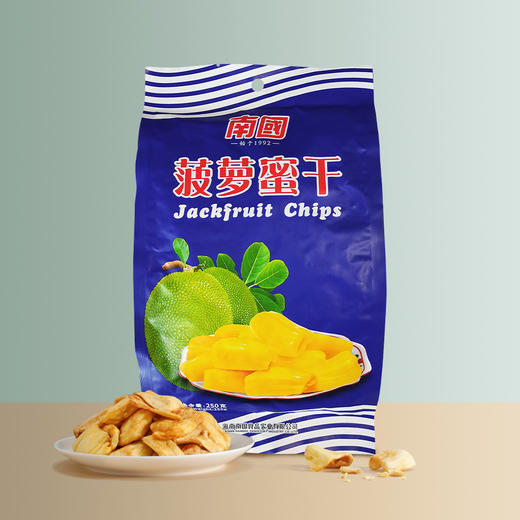 南国菠萝蜜干 250g 商品图0