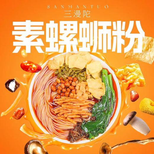 素食螺蛳粉 柳州米粉素米线 需煮  鲜甜酸爽辣 商品图2
