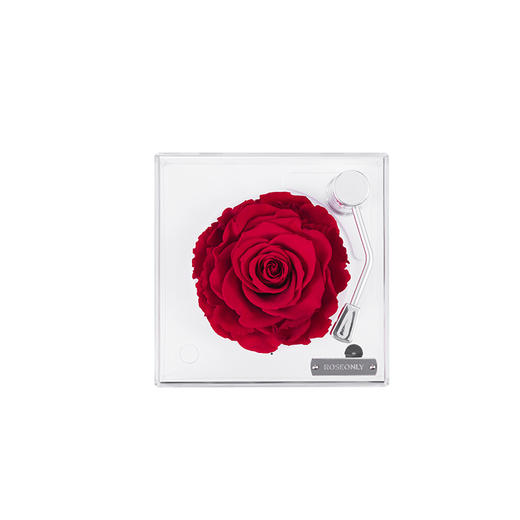 【留声机】ROSEONLY诺誓 永生玫瑰花礼盒 音乐留声机  小号 大号   红色 粉色   生日情人节 结婚 送爱人礼物 商品图5