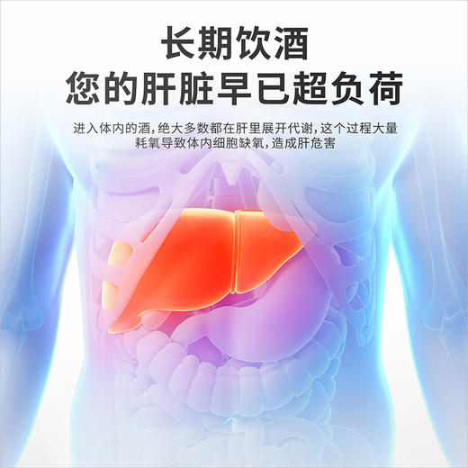 洛学堂 金奥力牌葛根枳椇软胶囊 500MG粒 商品图2