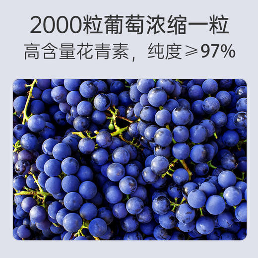 Canvty康维特 简妙丽葡萄籽 尚维麦葡萄籽 原花青素祛斑抗衰 商品图2