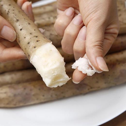 焦作铁棍山药55cm~60cm  5斤装 垆土山药~假1赔10 商品图3