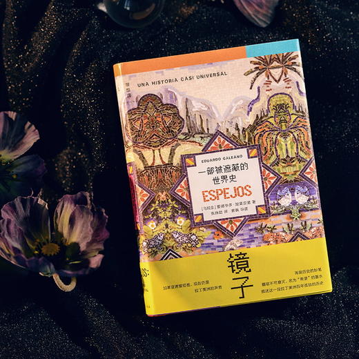 镜子：一部被遮蔽的世界史 商品图9